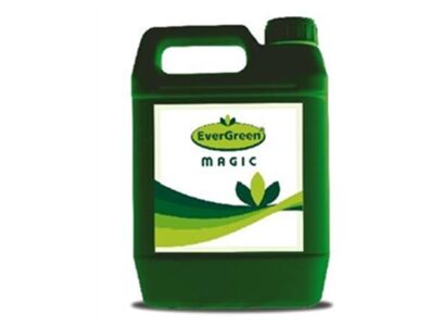 Evergreen Magic Liquid Fertilizer