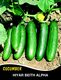 CUCUMBER SEED BEITH ALPHA