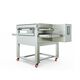 Conveyor Pizza Oven NG