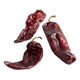 Whole Red Chili Dried