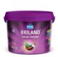 Briland Ceiling Paint
