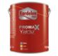 Golden Gilding Paint / Synthetic Paint