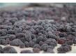 IQF Frozen Mulberry