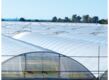 Greenhouse Systems  