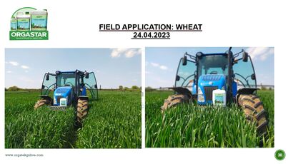 638198526508708189field-application-wheat-orgastar.jpg