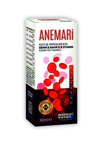 638497450421489149anemari2.jpg