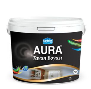 638907716110003611aura-tavan-boyasi.jpg