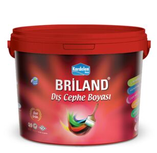 638907728107251804briland-dis-cephe.jpg