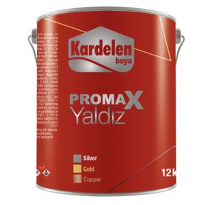 638913688232746113kardelen-yaldiz.jpg