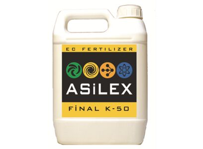 asilex-final-k.jpg
