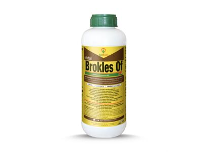 brokles-of-1-lt.jpg