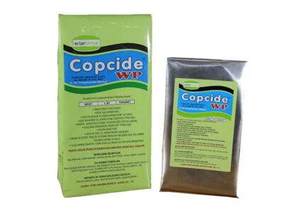 copcide-wp-copy.jpg