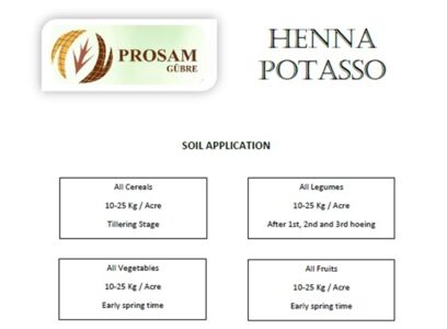 henna-potasso-application.jpg