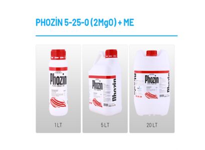 phozin1.jpg