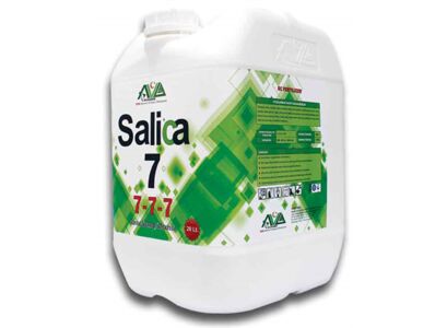 salica-7-20-lt.jpg