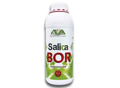 salica-bor-1-lt.jpg