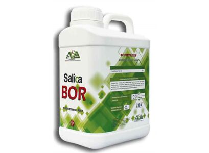 salica-bor-5-lt.jpg