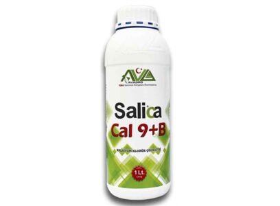 salica-cal-9-b-1-lt.jpg