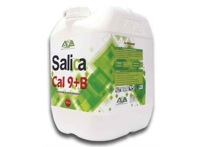 salica-cal-9-b-20-lt.jpg