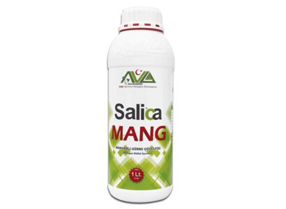 salica-mang-1-lt.jpg