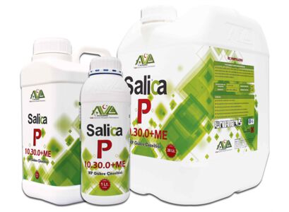 Salica-P (10.30.0+ %4 Zn)